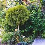 Βίλα Casa De La Mare -
