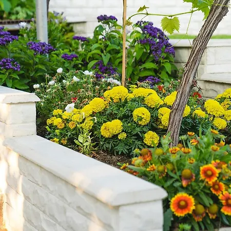 Villa Casa De La Mare - Albena