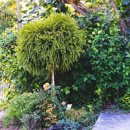 Villa Casa De La Mare -