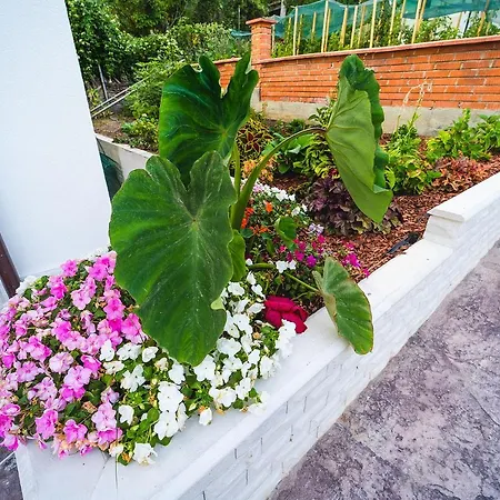 Casa De La Mare - Αλμπένα