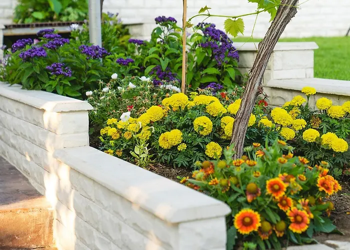 וילה Casa De La Mare - אלבנה