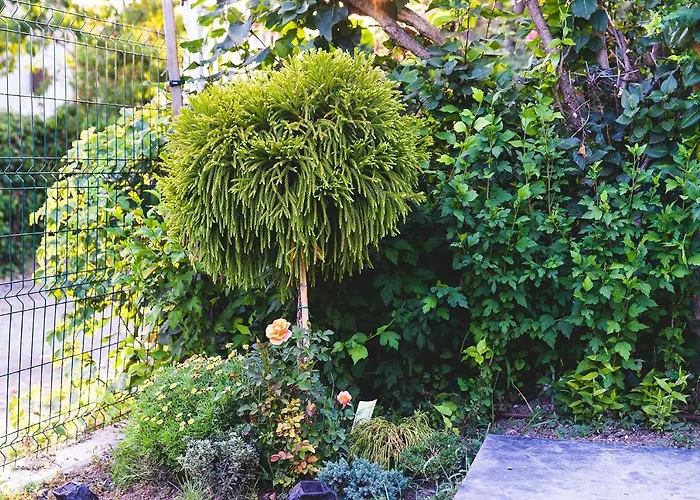 וילה Casa De La Mare -