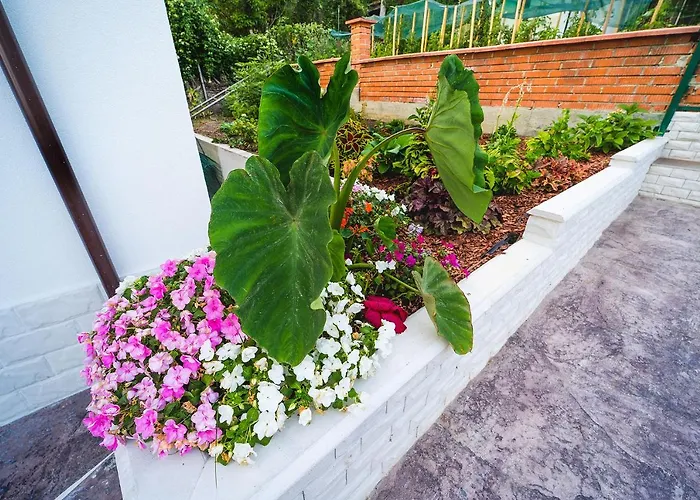 Casa De La Mare - Albena